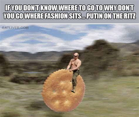 funny gifs|Funny GIF .